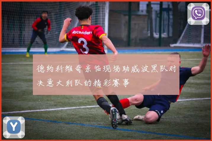 德约科维奇亲临现场助威波黑队对决意大利队的精彩赛事